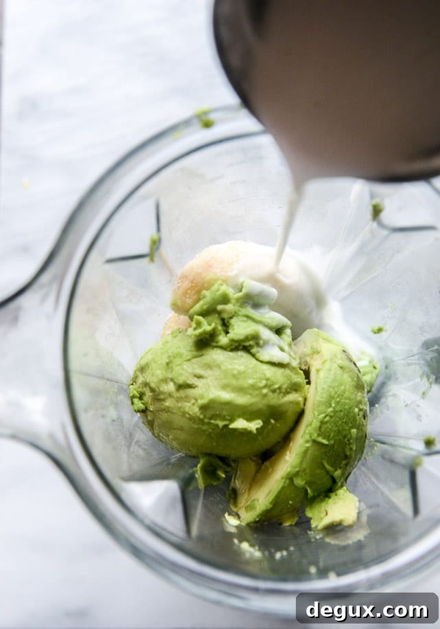 Creamy Avocado Vanilla Smoothie Recipes for Morning Energy 4 avocado smoothie I howsweeteats.com