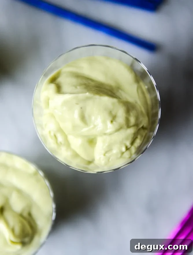 Creamy Avocado Vanilla Smoothie Recipes for Morning Energy 5 avocado vanilla smoothie I howsweeteats.com