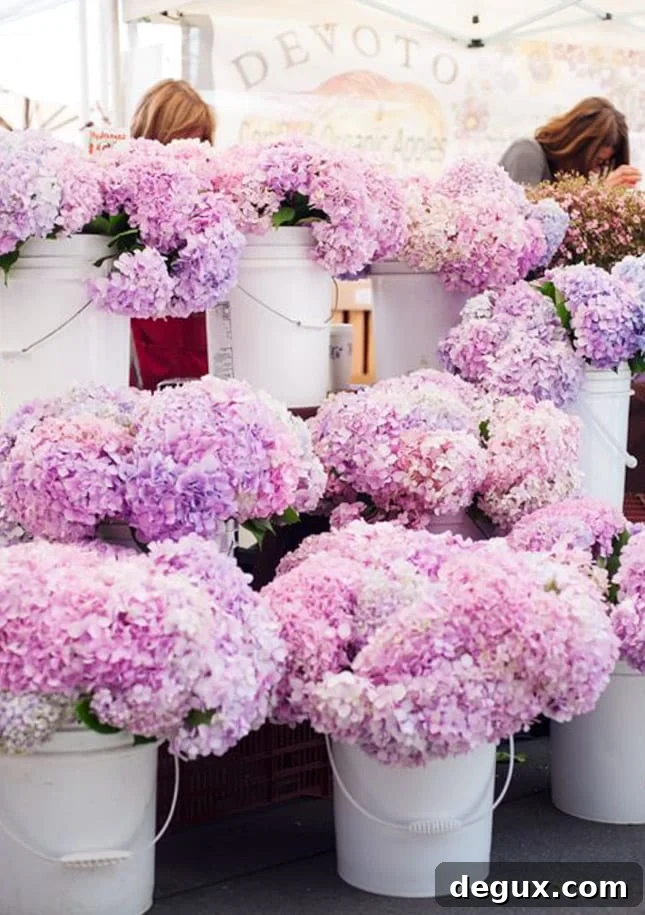 currently crushing on I howsweeteats.com