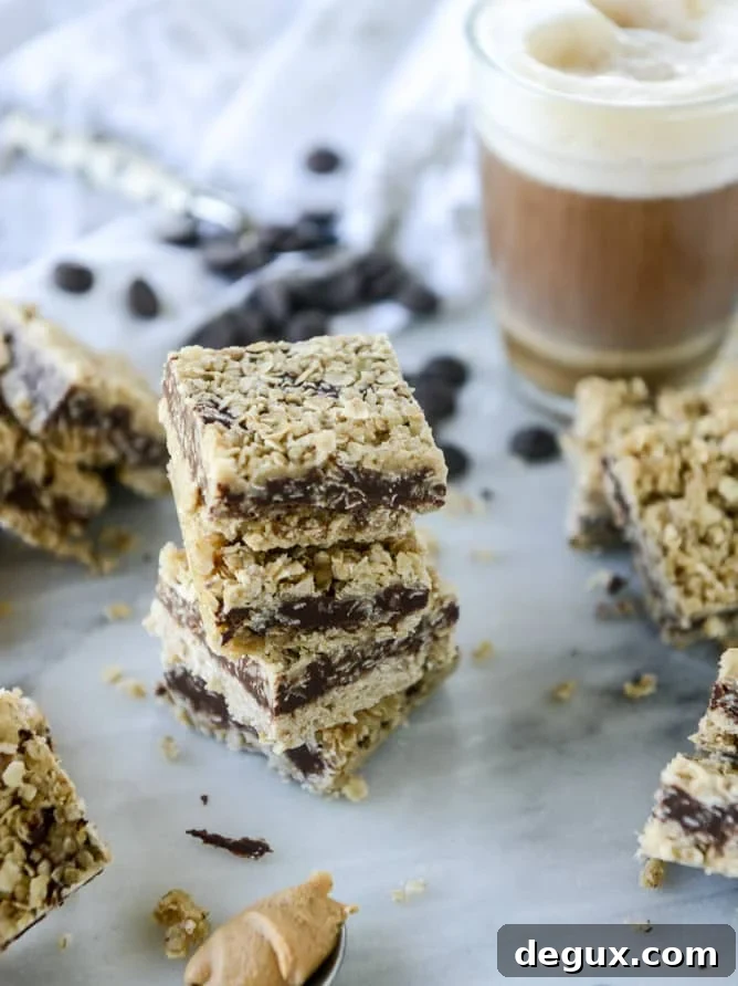 chocolate stuffed oatmeal bars