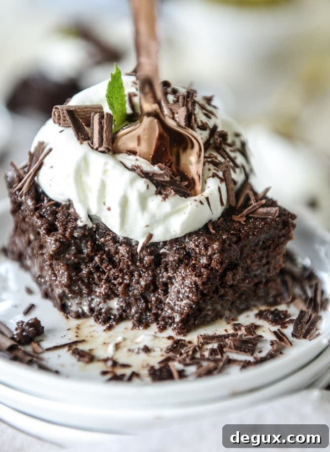 Chocolate Tres Leches Cake Recipe (Step-by-Step Video) 2 This chocolate tres leches cake is a spin on the classic tres leches. Three milks, one being chocolate milk, soak into the fudgiest cake ever! I howsweeteats.com