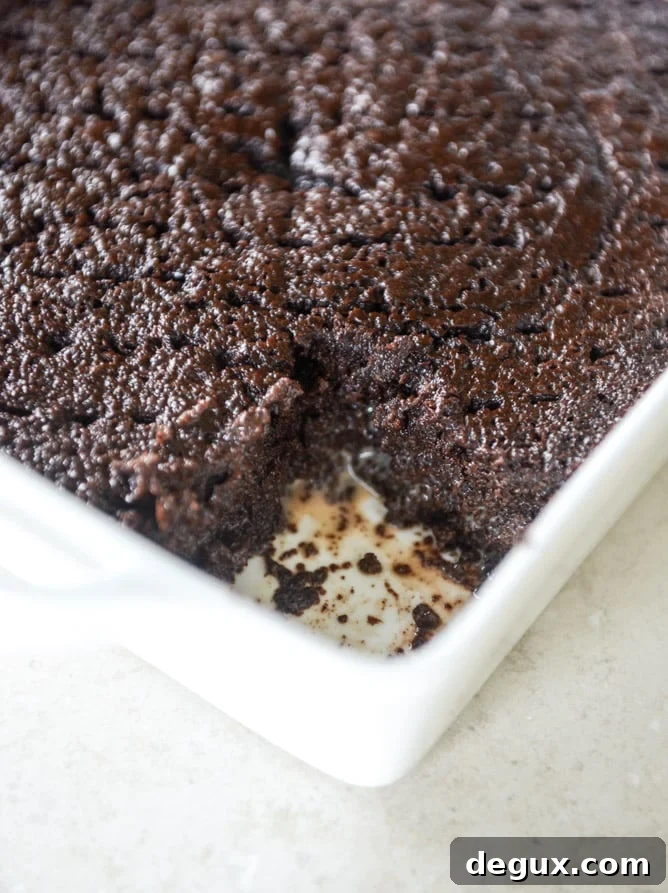 Chocolate Tres Leches Cake Recipe (Step-by-Step Video) 5 This chocolate tres leches cake is a spin on the classic tres leches. Three milks, one being chocolate milk, soak into the fudgiest cake ever! I howsweeteats.com