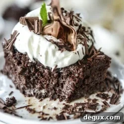 Chocolate Tres Leches Cake Recipe (Step-by-Step Video) 8 img 45275 8
