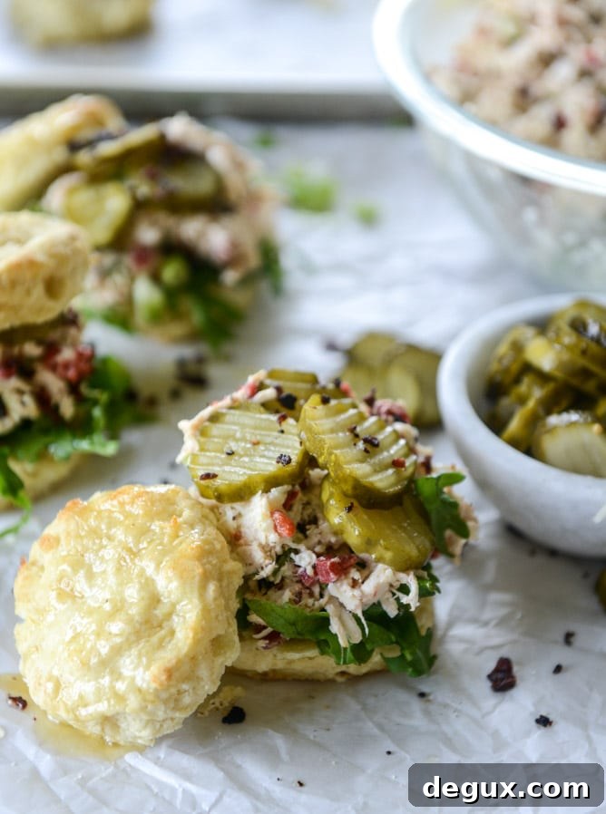 Pimento Cheese Chicken Salad on Honey Butter Biscuits – Southern Picnic Sandwich 50 pimento cheese chicken salad on honey butter biscuits I howsweeteats.com