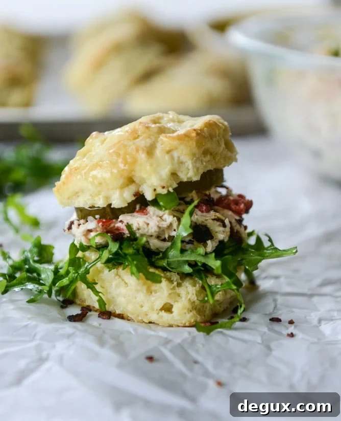 Pimento Cheese Chicken Salad on Honey Butter Biscuits – Southern Picnic Sandwich 7 pimento cheese chicken salad on honey butter biscuits I howsweeteats.com