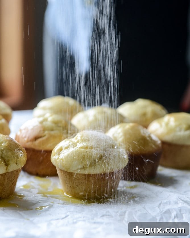 blueberry glazed doughnut muffins I howsweeteats.com