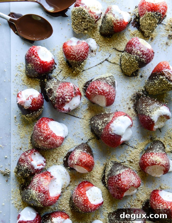 smore's strawberries I howsweeteats.com