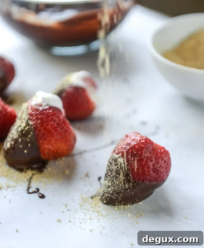 smore's strawberries I howsweeteats.com