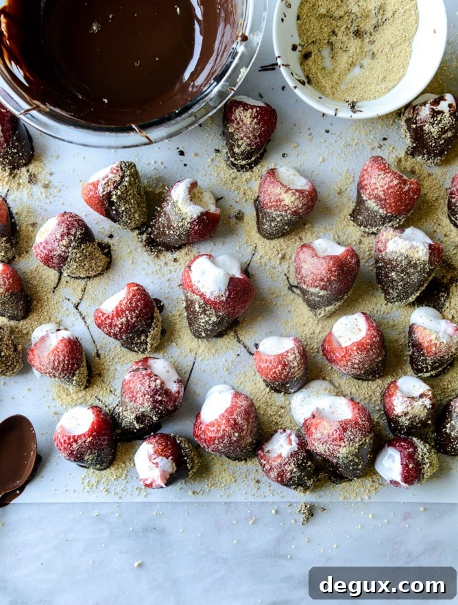 smore's strawberries I howsweeteats.com