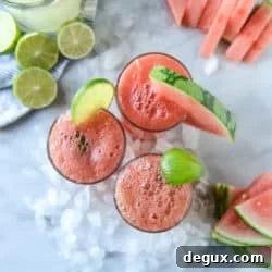 Homemade Watermelon Shandy Recipe — Refreshing Summer Drink 8 img 45524 7