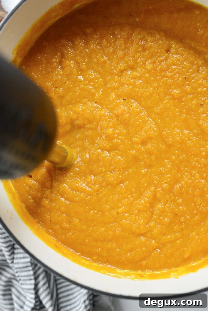pureed soup