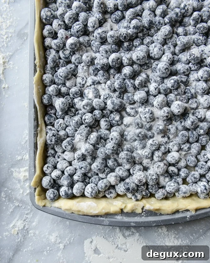 easy cinnamon blueberry slab pie I howsweeteats.com