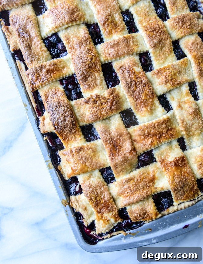 easy cinnamon blueberry slab pie I howsweeteats.com