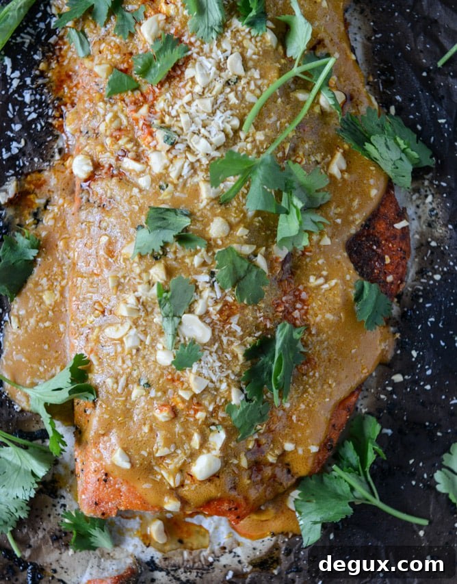 salmon with thai curry peanut sauce and coconut cilantro rice I howsweeteats.com