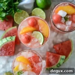Watermelon Rosé Margarita Recipe — Refreshing Summer Cocktail 8 img 46272 7