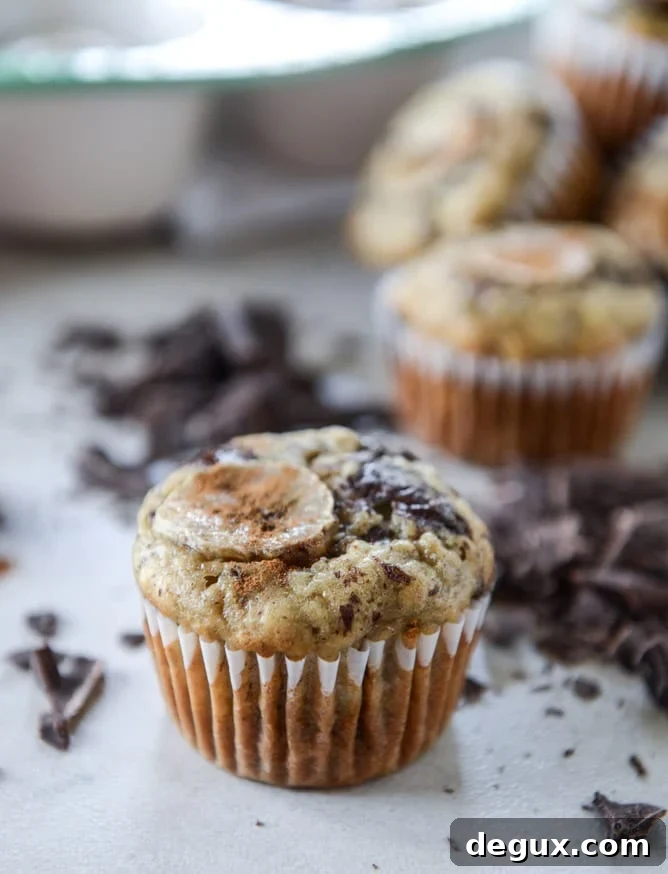 banana muffins with olive oil and dark chocolate I howsweeteats.com