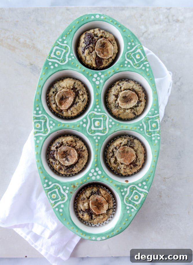 banana muffins with olive oil and dark chocolate I howsweeteats.com