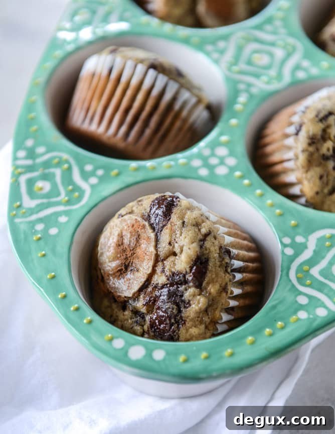banana muffins with olive oil and dark chocolate I howsweeteats.com