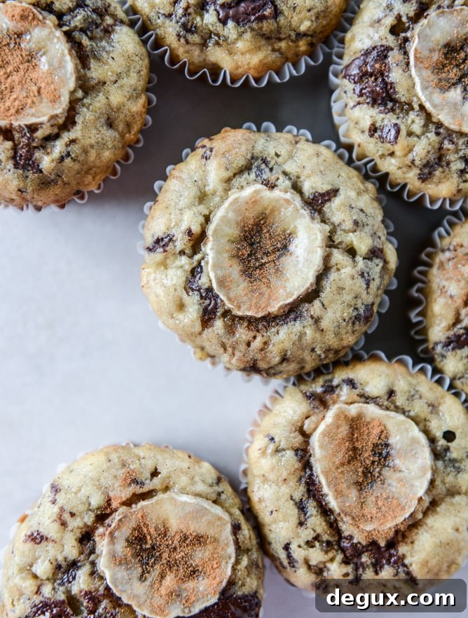 banana muffins with olive oil and dark chocolate I howsweeteats.com