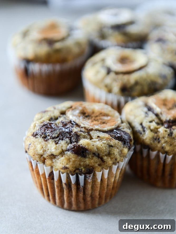 banana muffins with olive oil and dark chocolate I howsweeteats.com