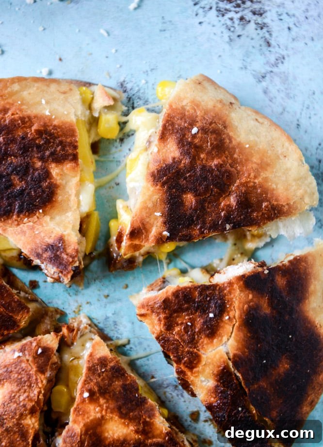 Honey-Glazed Chicken Quesadillas with Fresh Peach Guacamole 5 honey glazed chicken quesadillas with peach guacamole by @howsweeteats (in partnership with pernod classic) I howsweeteats.com
