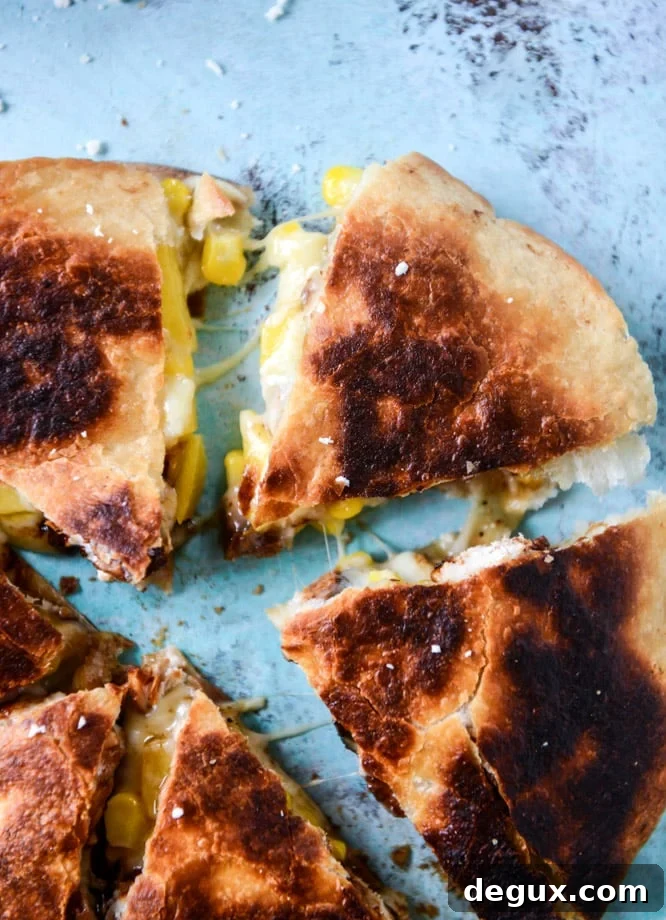 honey glazed chicken quesadillas with peach guacamole by @howsweeteats (in partnership with pernod classic) I howsweeteats.com 