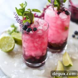 Blueberry Mojitos with Lavender Syrup Recipe for Summer Cocktails 8 img 46529 7