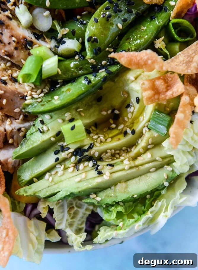 chinese chicken salad with sesame garlic dressing I howsweeteats.com