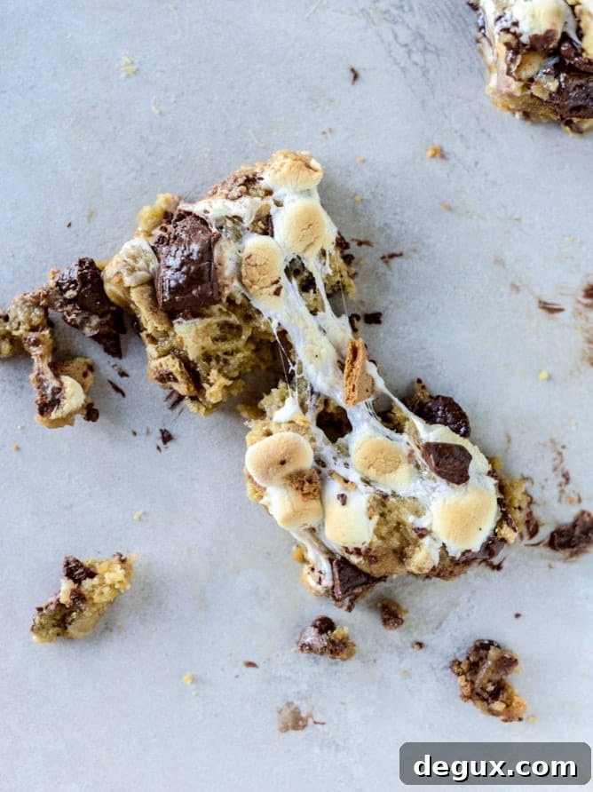 Chocolate Chip S'mores Cookie Bars 7 chocolate chip s'mores barsI howsweeteats.com
