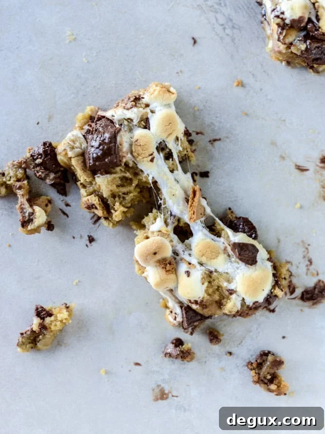 chocolate chip s'mores barsI howsweeteats.com