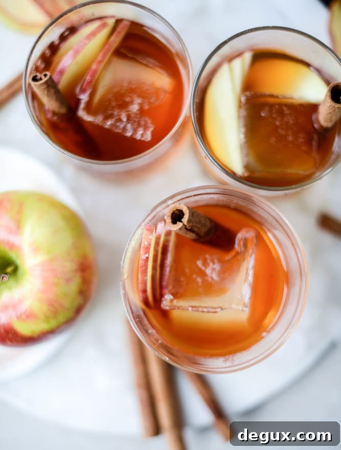Honeycrisp Apple Old-Fashioned Cocktail Recipe 5 honeycrisp old fashioned I howsweeteats.com