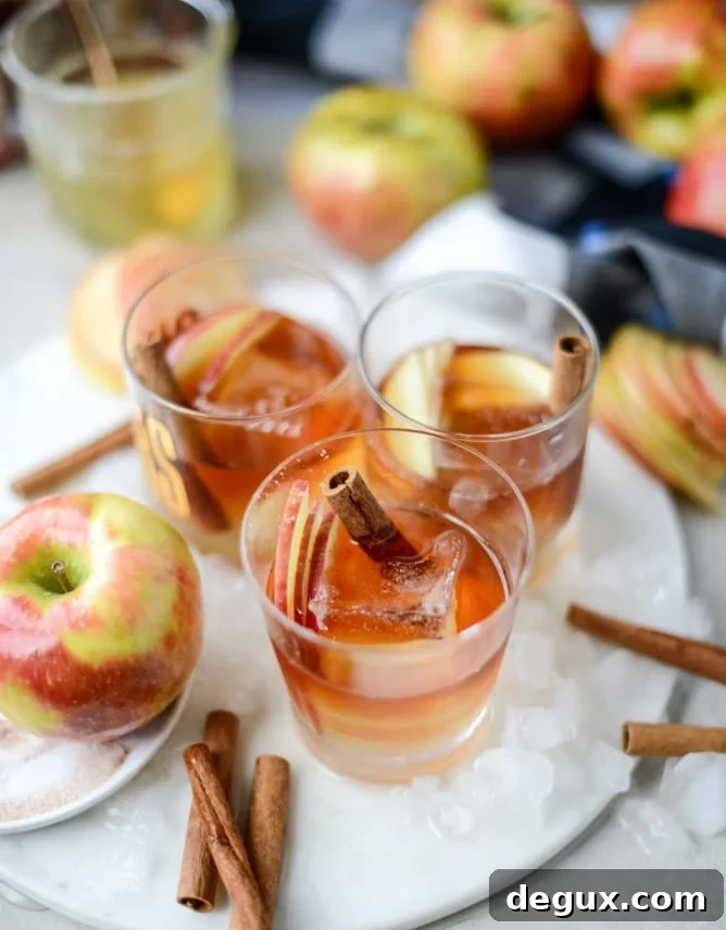 Honeycrisp Apple Old Fashioned Cocktail Recipe 6 honeycrisp old fashioned I howsweeteats.com