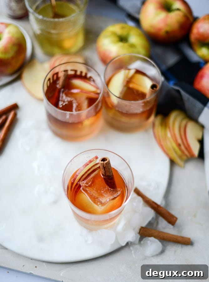 Honeycrisp Apple Old-Fashioned Cocktail Recipe 8 honeycrisp old fashioned I howsweeteats.com