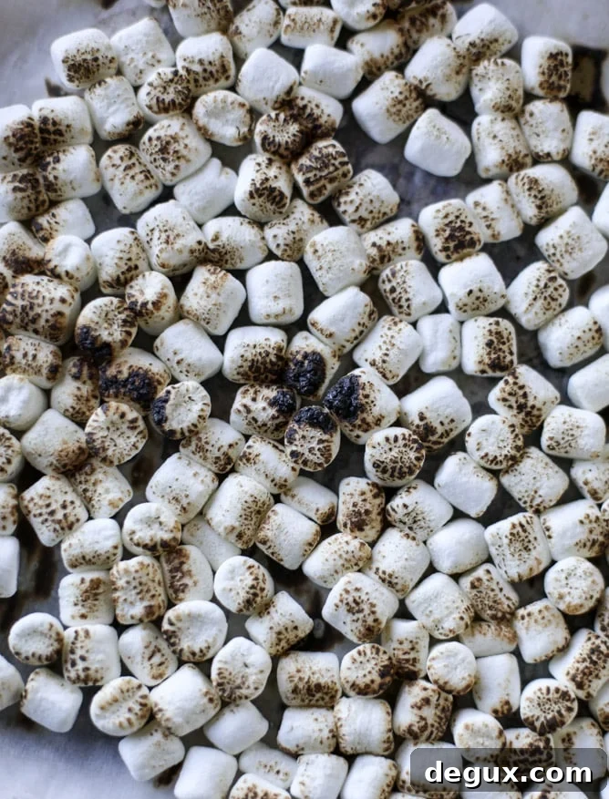 toasted marshmallow harvest rice krispie treats I howsweeteats.com