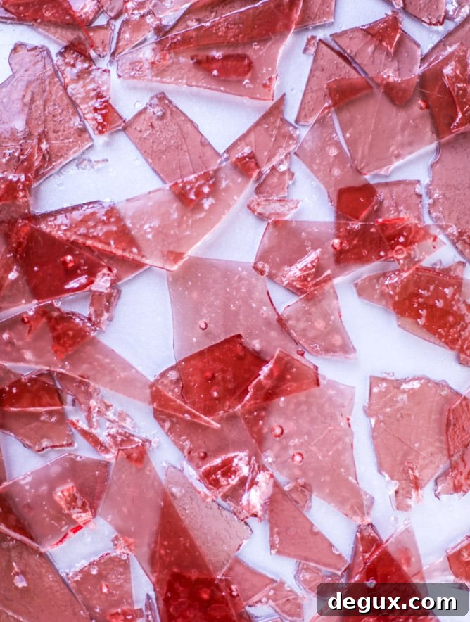 Devil’s Food Cupcakes with Pomegranate Sugar Shards 4 devil's food cupcakes with pomegranate sugar shards I howsweeteats.com