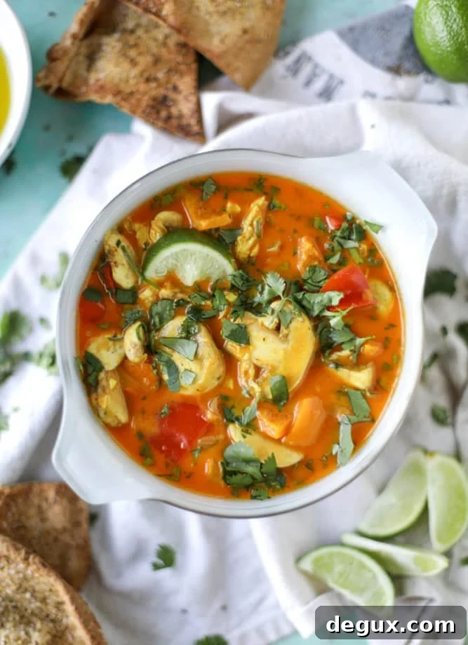golden chicken coconut soup with spiced pitas