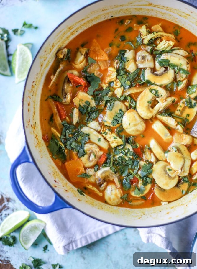 golden chicken coconut soup with spiced pitas