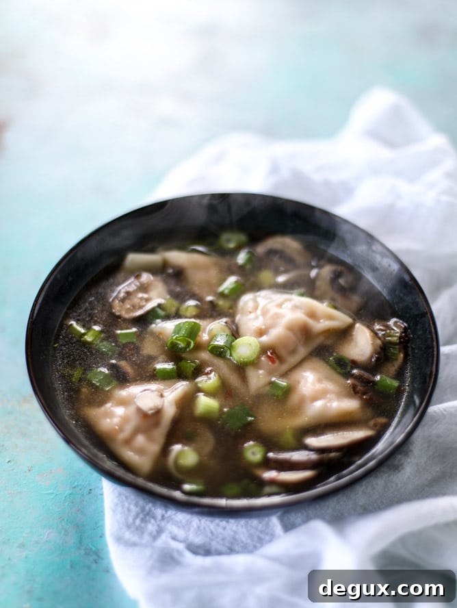 butternut squash wonton soup I howsweeteats.com