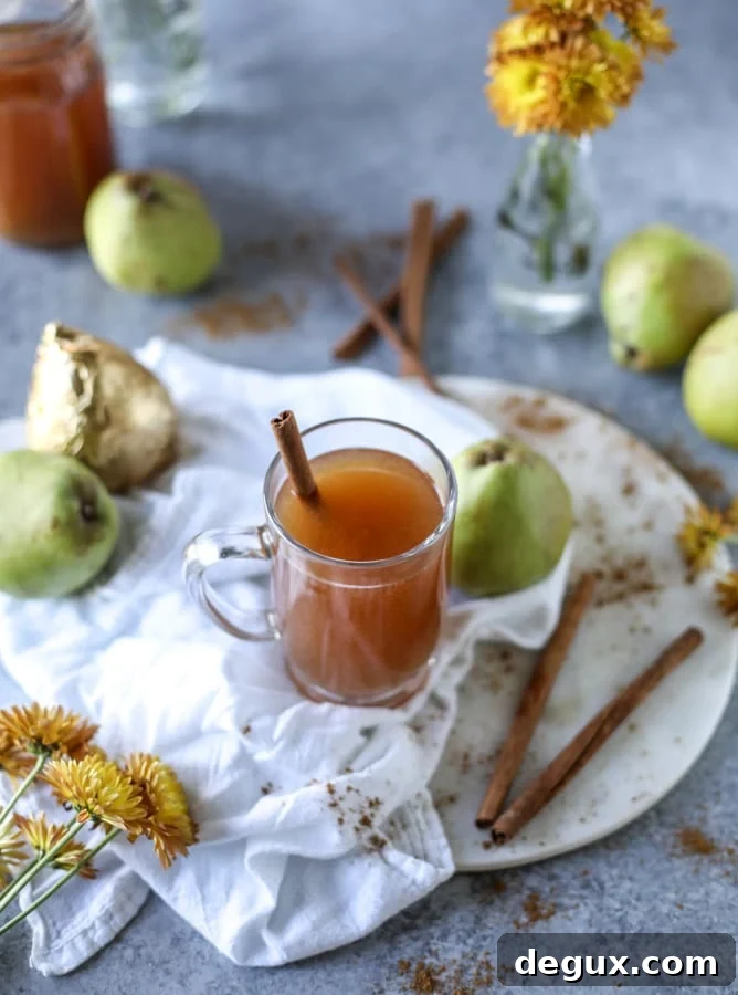 How to Make Pear Cider at Home: Simple Homemade Pear Cider Recipe 2 homemade pear cider I howsweeteats.com