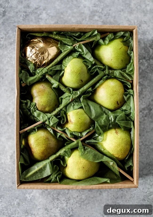 How to Make Pear Cider at Home: Simple Homemade Pear Cider Recipe 3 homemade pear cider I howsweeteats.com