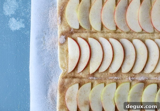 Cinnamon Sugar Apple Puff Pastry Twists for Quick Baking 4 cinnamon sugar apple pie puff pastry