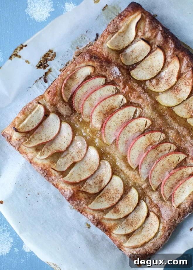 Cinnamon Sugar Apple Puff Pastry Twists for Quick Baking 6 cinnamon sugar apple pie puff pastry