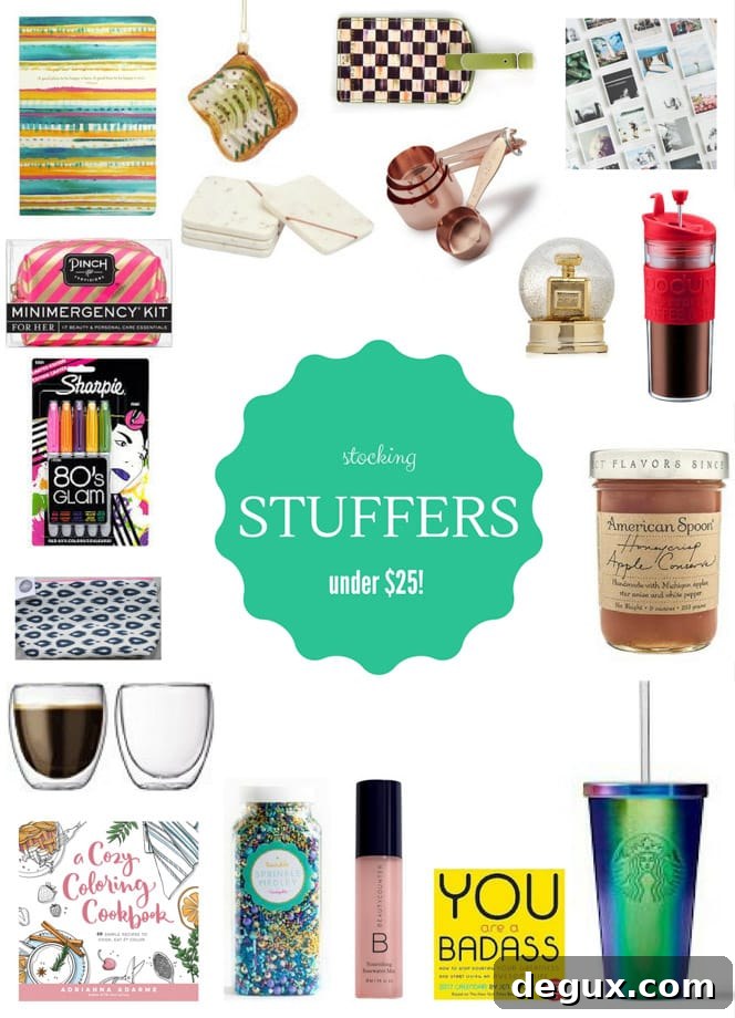 2016 Holiday Gift Guide: Top Picks for Every Person on Your List 2 2016 holiday gift guide - under $25