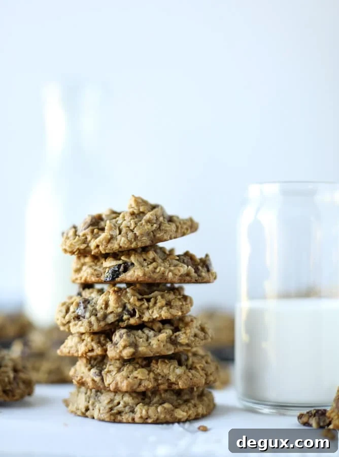 bourbon soaked cherry oatmeal chocolate chip cookies I howsweeteats.com 