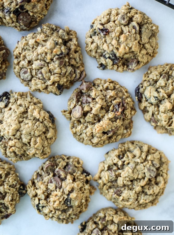 bourbon soaked cherry oatmeal chocolate chip cookies I howsweeteats.com 
