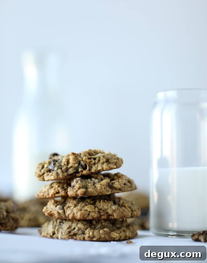 bourbon soaked cherry oatmeal chocolate chip cookies I howsweeteats.com 
