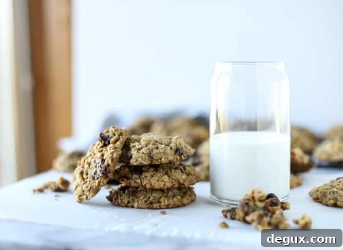bourbon soaked cherry oatmeal chocolate chip cookies I howsweeteats.com 