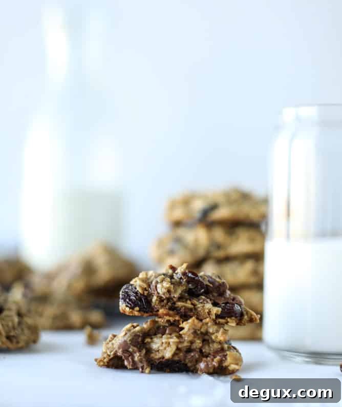 bourbon soaked cherry oatmeal chocolate chip cookies I howsweeteats.com 