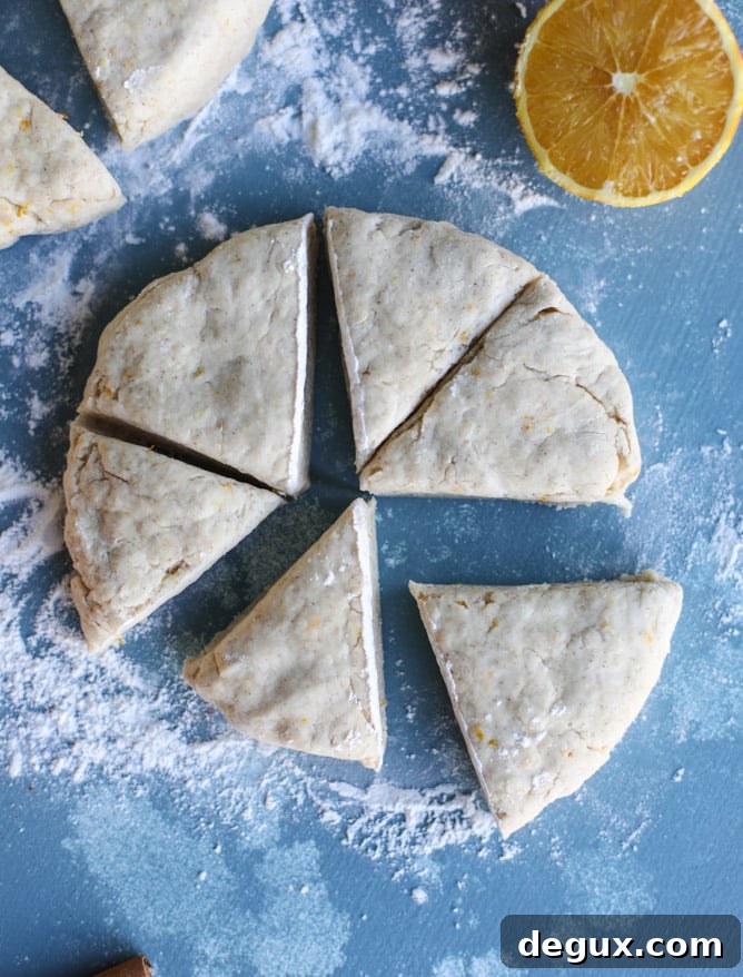 Cinnamon Orange Mini Scones — Soft Zesty Tea Treats 5 mini cinnamon orange scones I howsweeteats.com