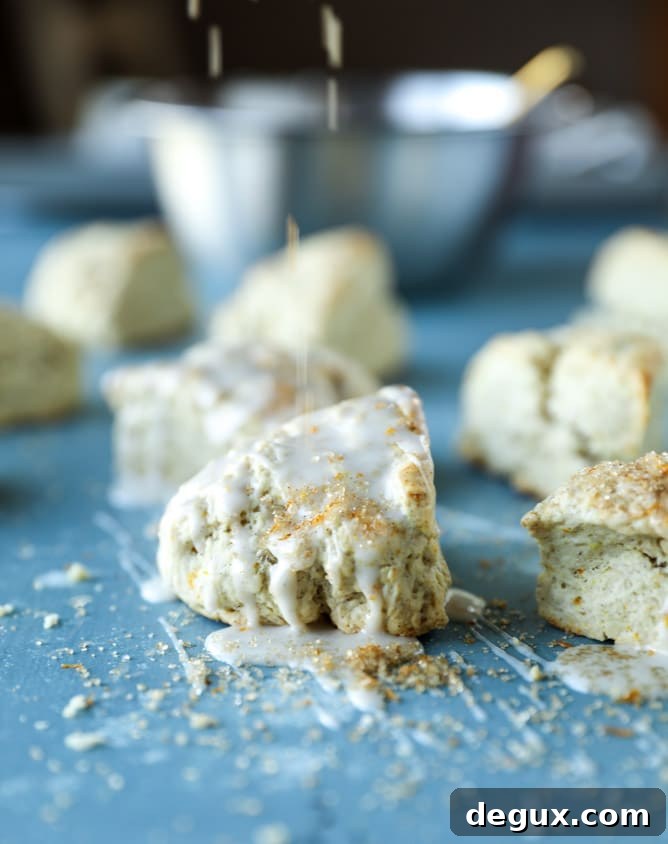 Cinnamon Orange Mini Scones — Soft Zesty Tea Treats 6 mini cinnamon orange scones I howsweeteats.com